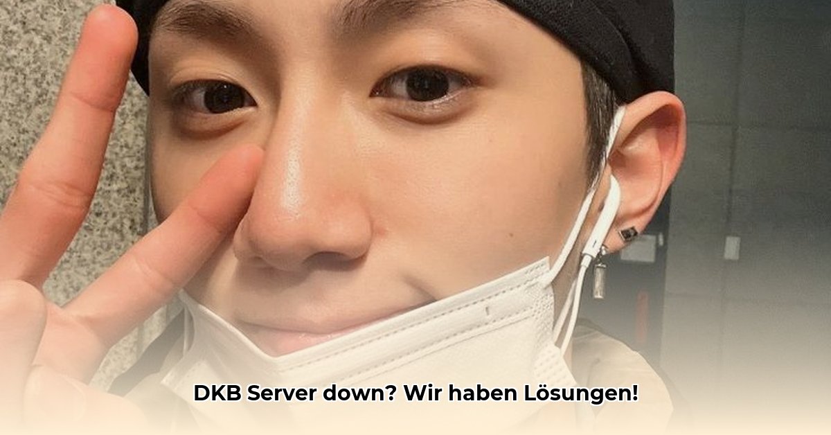 dkb-internal-server-error